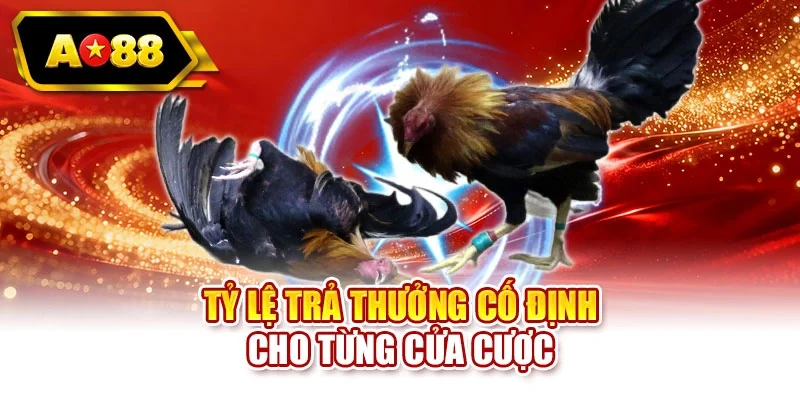 Tỷ lệ trả thưởng cố định cho từng cửa cược