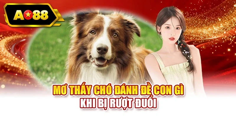 Mơ thấy chó đánh đề con gì khi bị rượt đuổi
