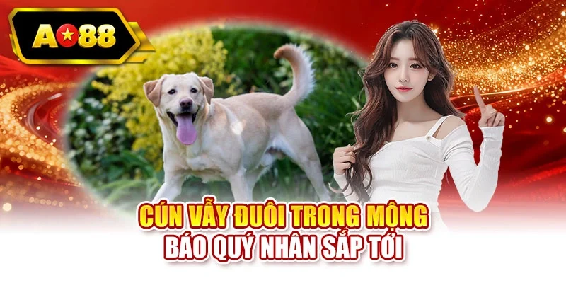 Cún vẫy đuôi trong mộng báo quý nhân sắp tới